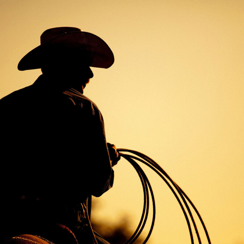 yellow-rider