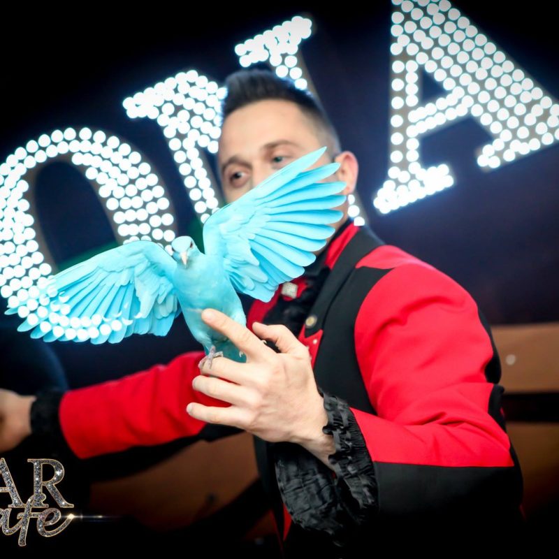 ROCCO MAGIC SHOW